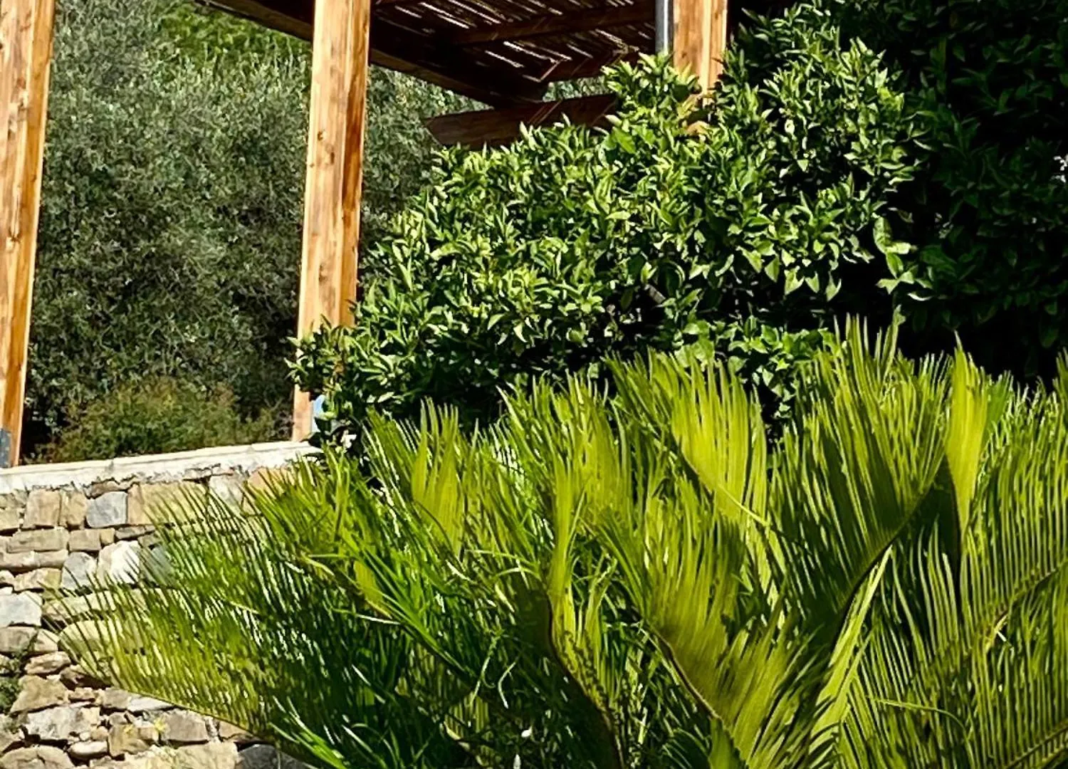 Gli Orti Dei Doria Di Dolceacqua Villa 0*,